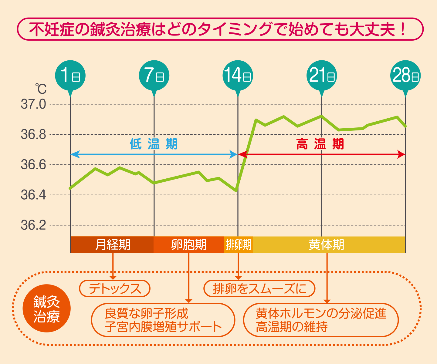 不妊症の鍼灸治療はどのタイミングで始めても大丈夫！